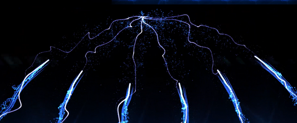 LED Wall Palms Launch