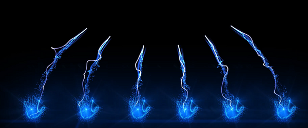 LED Wall Palms Launch