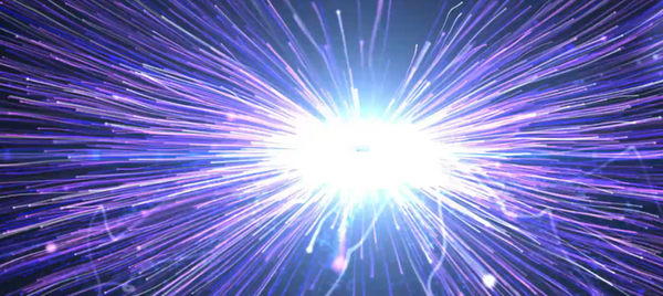 LED Wall Palms Launch