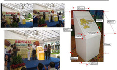 Experiential Marketing Singapore Puzzle Light Box Launch Mechanism