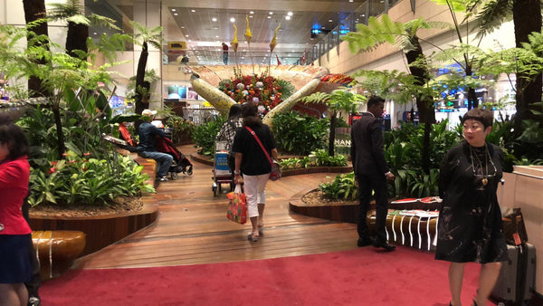 Changi Airport Christmas 2019 Activation @ Changi Airport