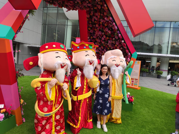 Vivocity CNY Activation 2020 Chinese New Year Fringe Activities @ VivoCity