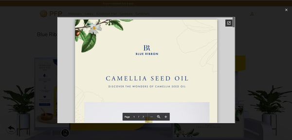 PFPFA Wealth in Wellness Virtual Extravaganza