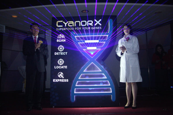 Elken Cyanor X Launch