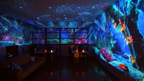 3D Video Production & Projection Mapping Production