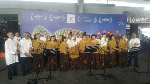 Gardens by the Bay Christmas 2018