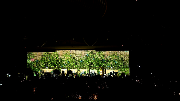 Wedding Immersive 3D Mapping Luxury @ Ritz Carlton