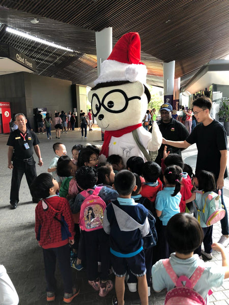 Gardens by the Bay Christmas 2018