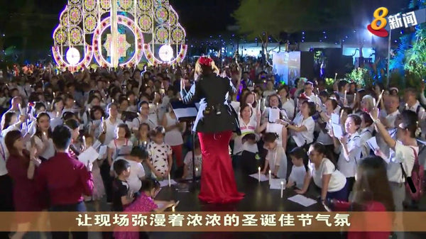 Gardens by the Bay Christmas 2018