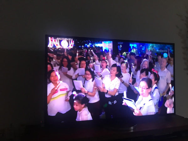 Gardens by the Bay Christmas 2018