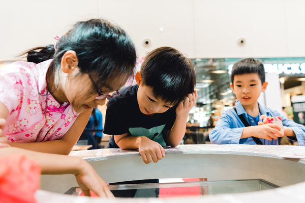 Seletar Mall Chinese New Year 2020 Activation @ Seletar Mall