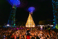 Gardens by the Bay Christmas 2018