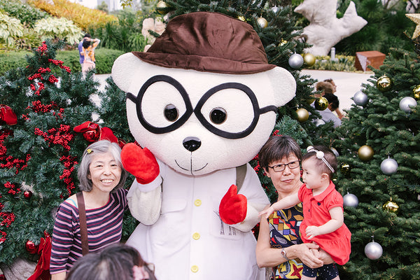 Gardens by the Bay Christmas 2018