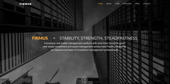 Firmus Capital Landing Microsite Web Design