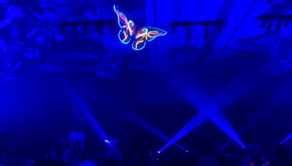 LED Aerial Butterfly Drone