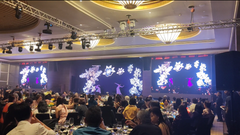 Ritz-Carlton 3D Projection Mapping Performance 2025 @ Ritz-Carlton