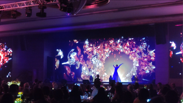 Ritz-Carlton 3D Projection Mapping Performance 2025 @ Ritz-Carlton