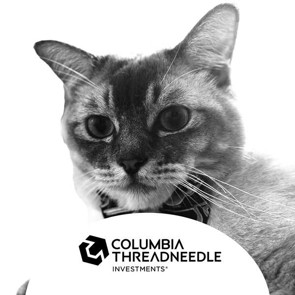 DBS Financial Conference at W Hotel Singapore