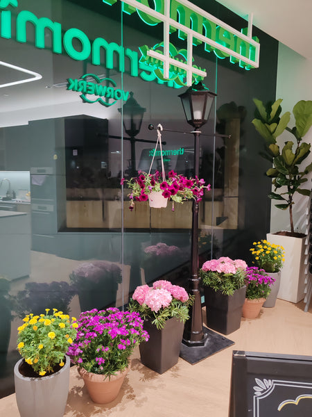 Thermomix Flagship Store Launch @ The Cathay