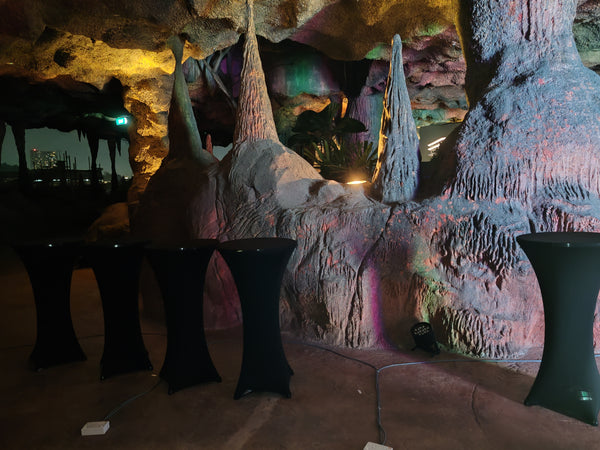 RWS Dinner and Dance 2025 @ Sentosa Adventure