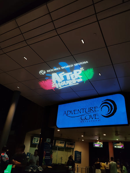 RWS Dinner and Dance 2025 @ Sentosa Adventure