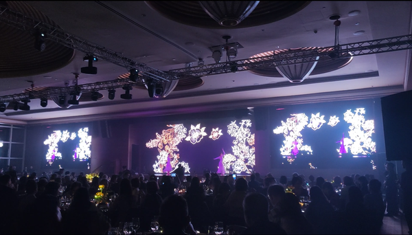 Ritz-Carlton 3D Projection Mapping Performance 2025 @ Ritz-Carlton