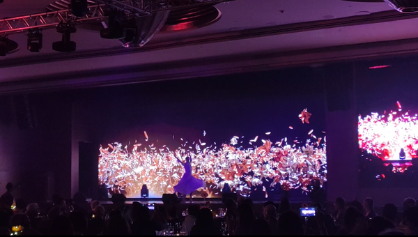 Ritz-Carlton 3D Projection Mapping Performance 2025 @ Ritz-Carlton