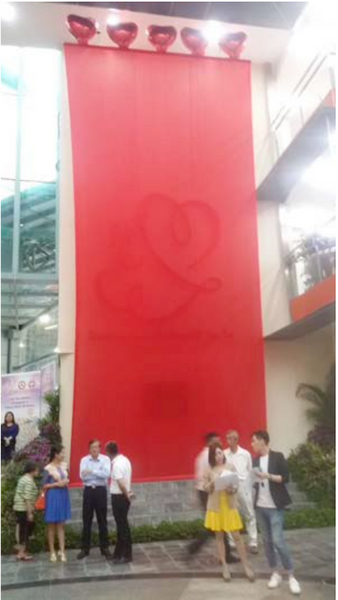 Curtain Unveil Launch