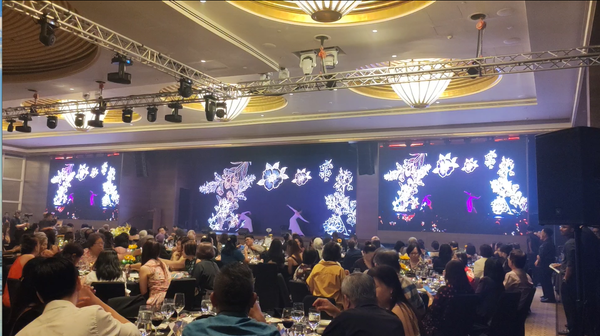 Ritz-Carlton 3D Projection Mapping Performance 2025 @ Ritz-Carlton