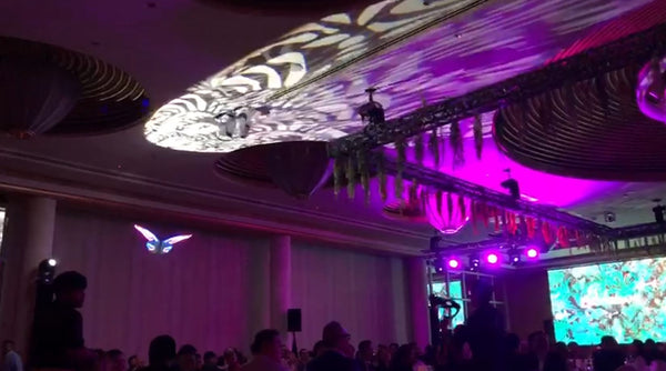 LED Aerial Butterfly Drone