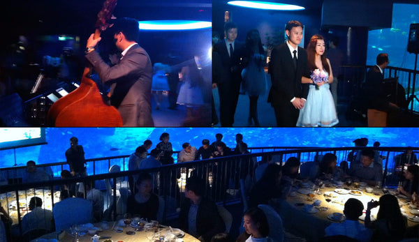 Wedding of Caofeng & QIanlan @ SEA Aquarium | Wedding of Caofeng & QIanlan @ SEA Aquarium
