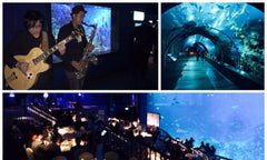 LNG Asia Summit 2014 @ S.E.A Aquarium Sentosa