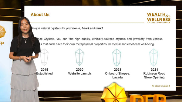 PFPFA Wealth in Wellness Virtual Extravaganza