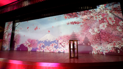 Wedding Private Event Singapore Wedding Immersive 3D Mapping Luxury @ Ritz Carlton