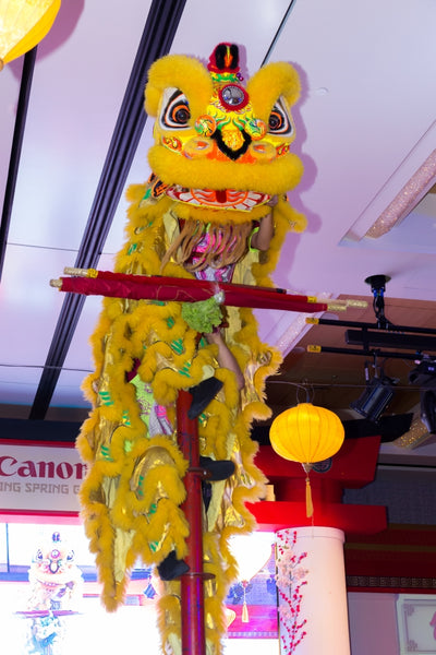 Canon CNY Prosperity Dealers Night Spring Gala 2019 @ Sofitel City