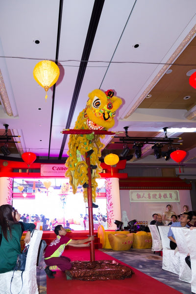 Canon CNY Prosperity Dealers Night Spring Gala 2019 @ Sofitel City