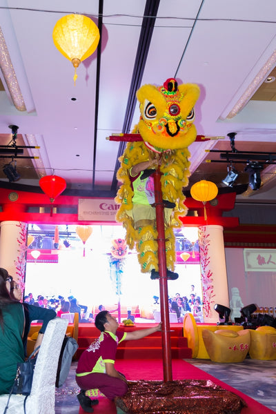 Canon CNY Prosperity Dealers Night Spring Gala 2019 @ Sofitel City