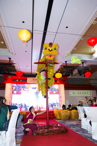 Canon CNY Prosperity Dealers Night Spring Gala 2019 @ Sofitel City