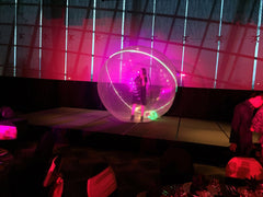 LED Ball Violinist @ Gardens By The Bay