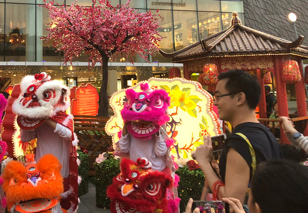 Chinese New Year Fringe Activities 2018 @ VivoCity