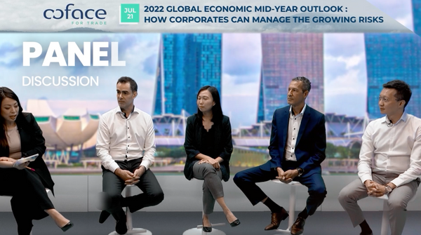 Coface 2022 Global Economic Mid-Year Outlook @ Live stream