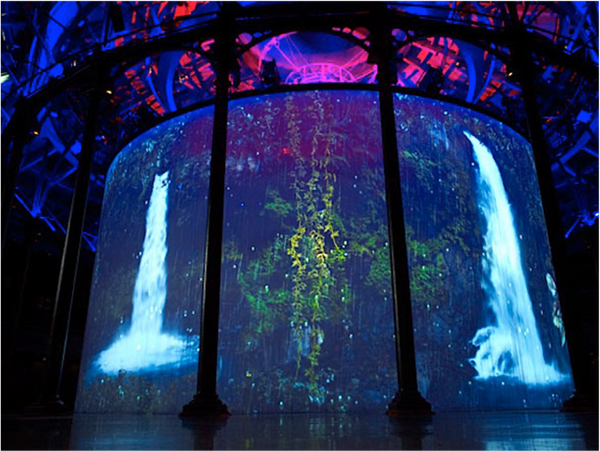 Holographic Dynamic Floral Backdrops