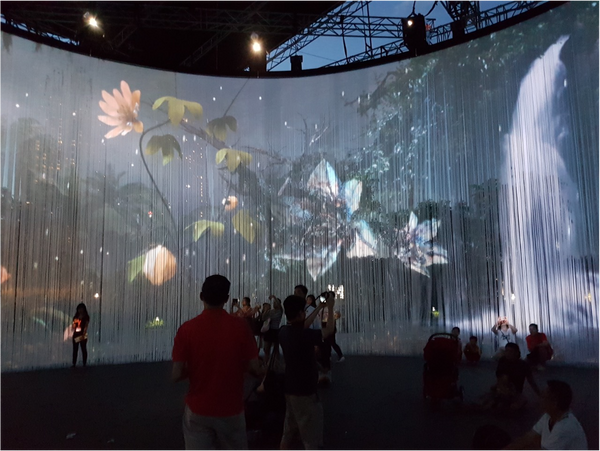 Holographic Dynamic Floral Backdrops