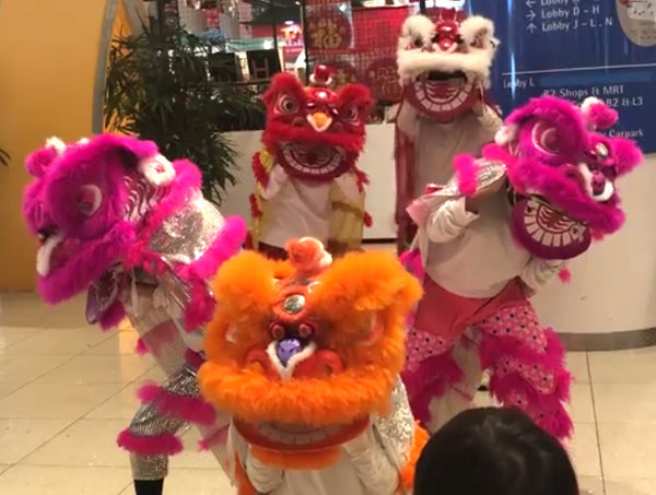 Chinese New Year Fringe Activities 2018 @ VivoCity