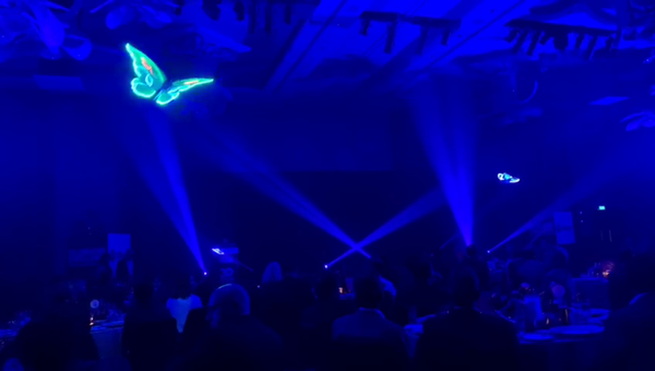 LED Aerial Butterfly Drone