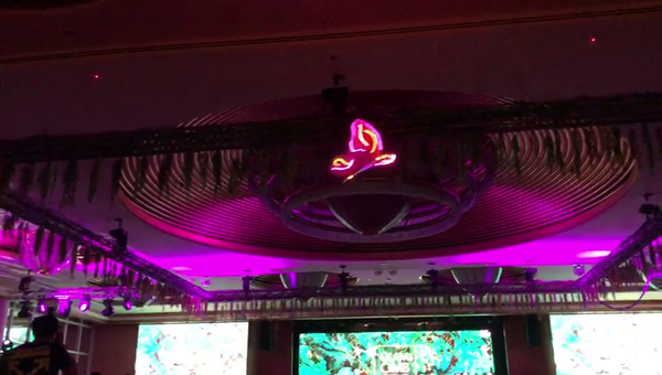 LED Aerial Butterfly Drone