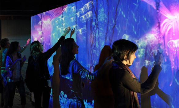 Interactive Projection Wall & Floor
